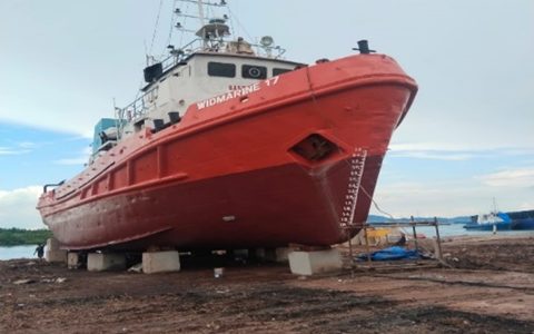 Widmarine 17